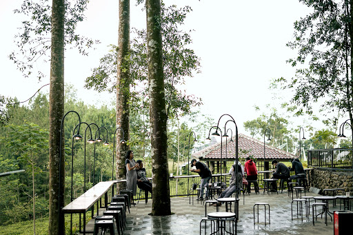 Metsa Kopi