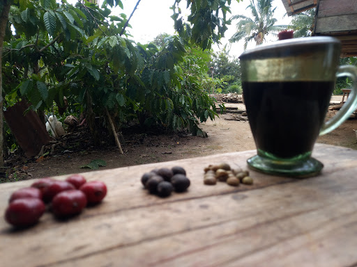 Kopi bubuk asli