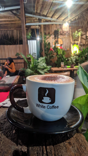 Bonsai Kopi