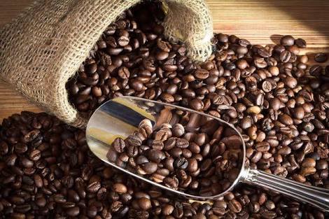 Kopi CARANO