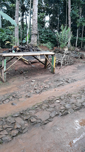 Kebun Kopi Ki Oyo