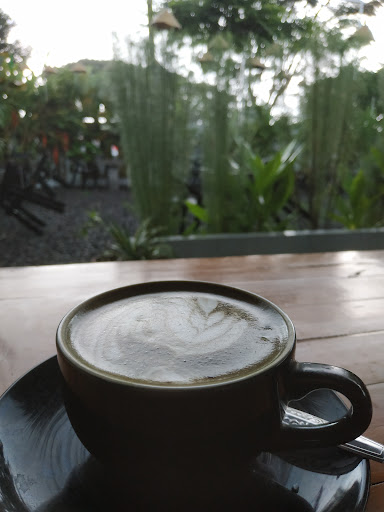 Nittie Coffee