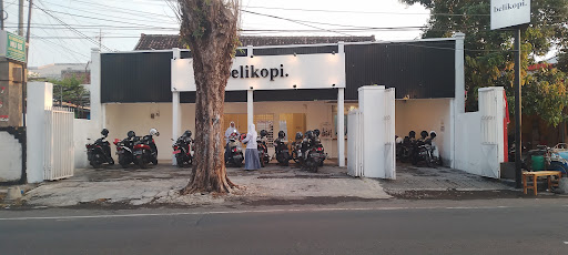BELIKOPI. LUMAJANG