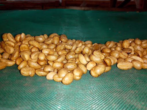 KOPI BONTUGU