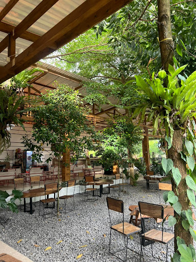 Ngopi di Kebon Awi