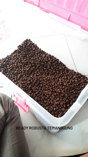 Biji Kopi Tegal