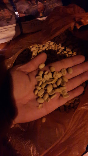 Spn Membeli Biji kopi