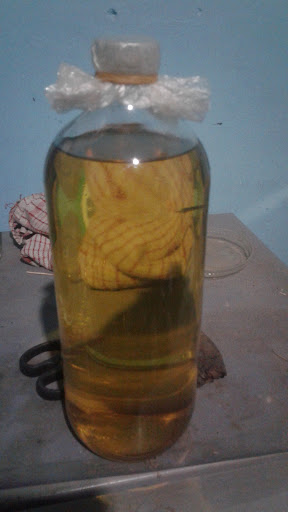 Kopi pangku