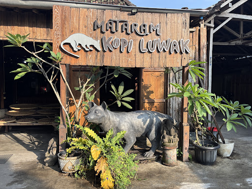 Kopi Luwak Mataram
