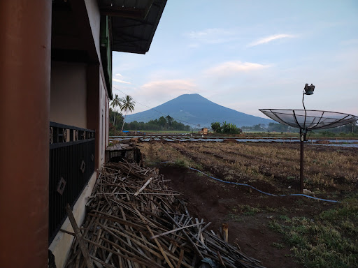 Pagar Alam Coffee