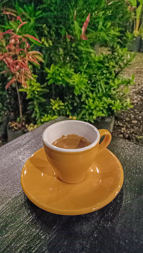 Kembang Kopi Pare