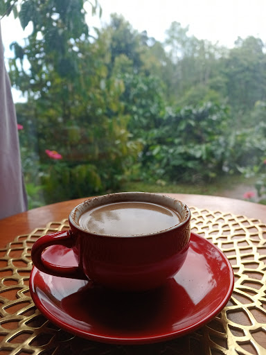 Kopi Punik Sumbawa